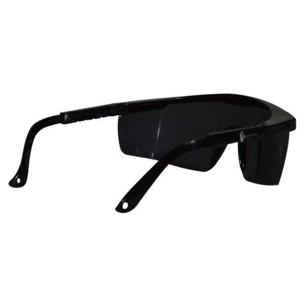 Dexterhand-Lentes-de-seguridad-126GR